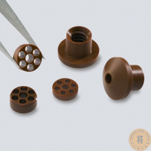 PI   VESPEL—聚酰亞胺